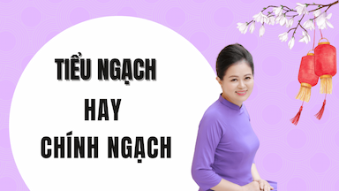 Nên nhập hàng Tiểu ngạch hay Chính ngạch